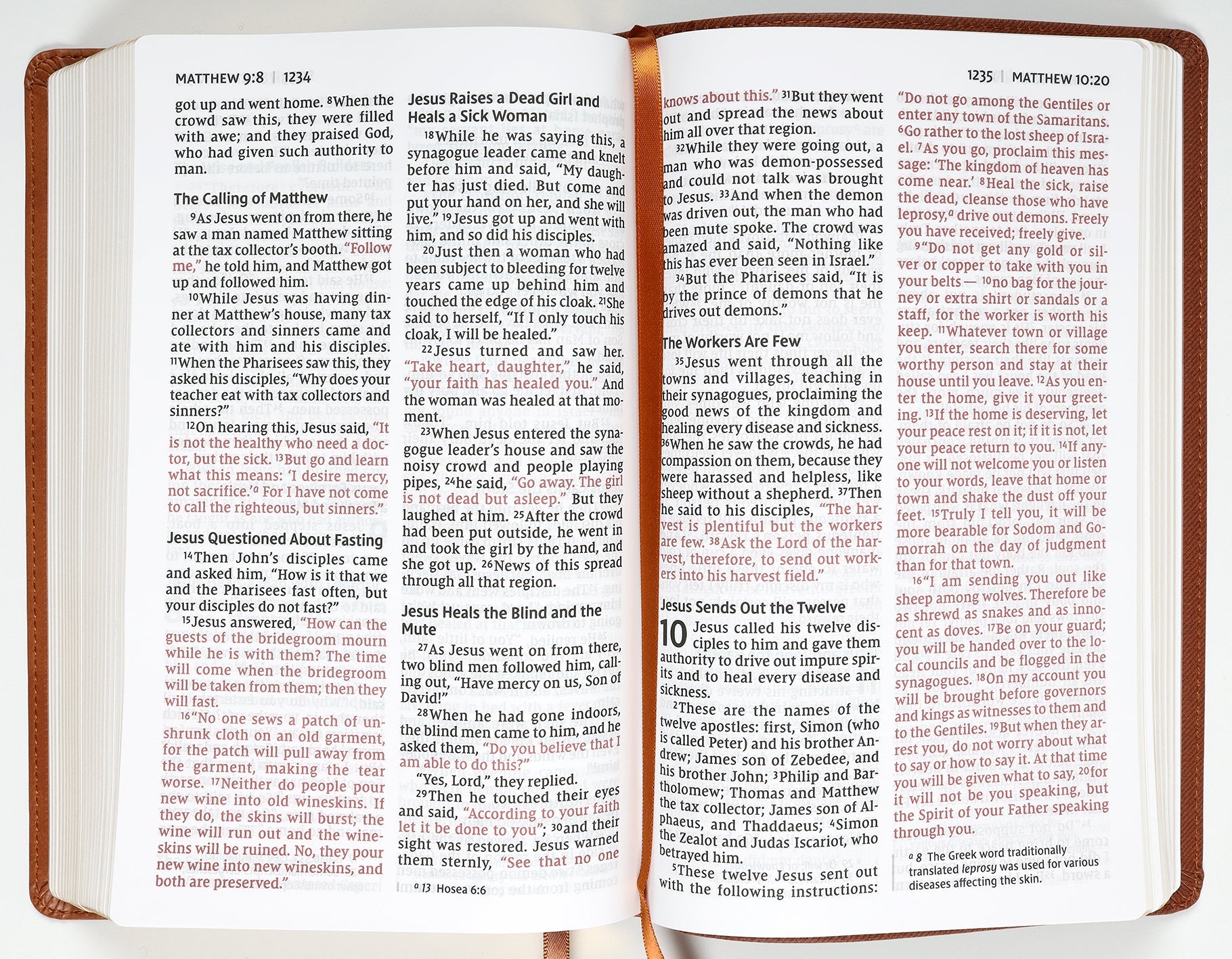 NIV Personal Size Bible Large Print Brown (Red Letter Edition)