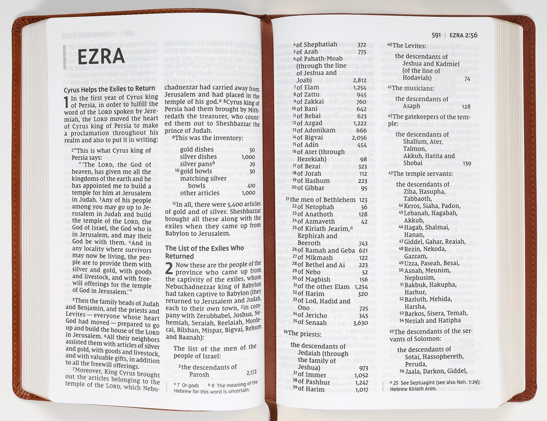 NIV Large Print Personal Size Bible, Red Letter Edition, side view