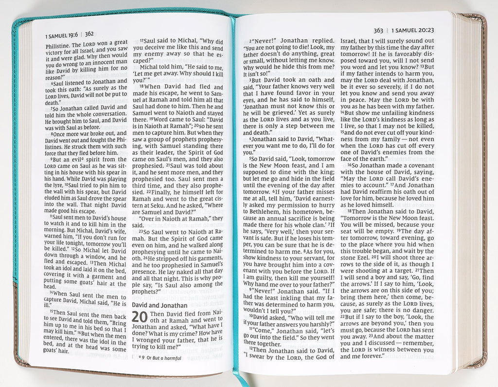 Personal Size NIV Large Print Bible, Red Letter Edition, ideal for everyday reading and spiritual growth