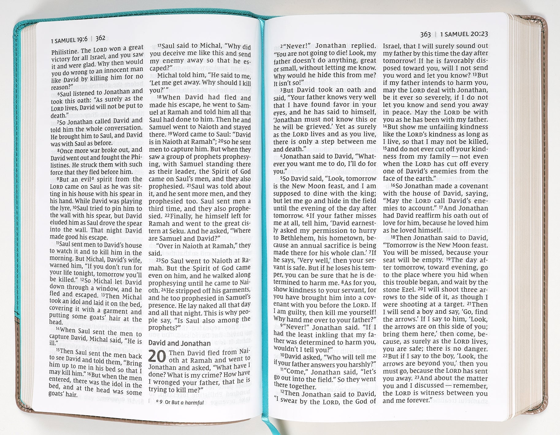 Personal Size NIV Large Print Bible, Red Letter Edition, ideal for everyday reading and spiritual growth