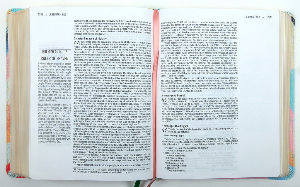 Beautifully Designed NIV the Jesus Bible, Multi-Color Teal, New International Version
