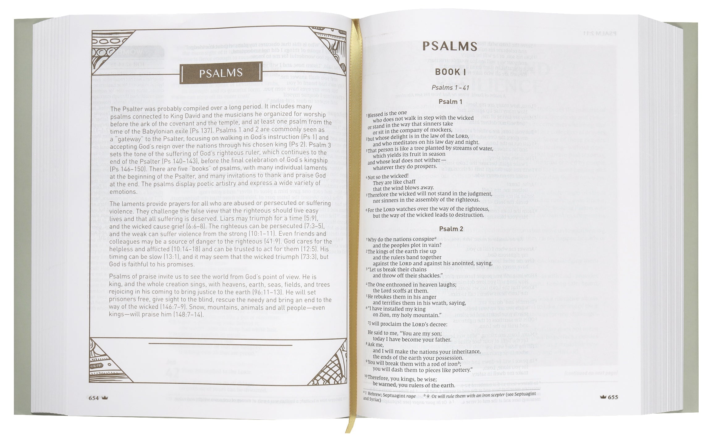 Leather NIV Upside-Down Kingdom Bible, Gray color