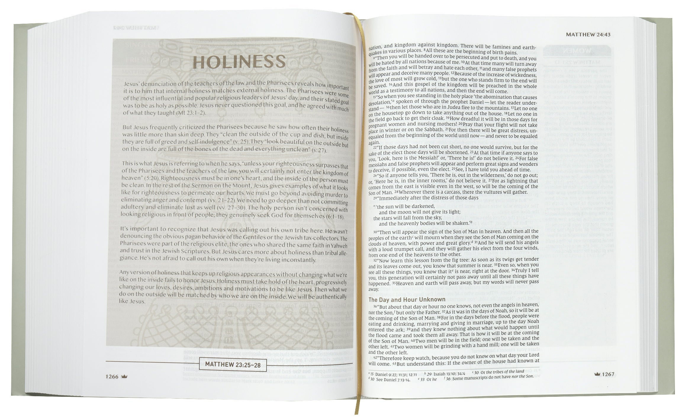 NIV Upside-Down Kingdom Bible, Gray