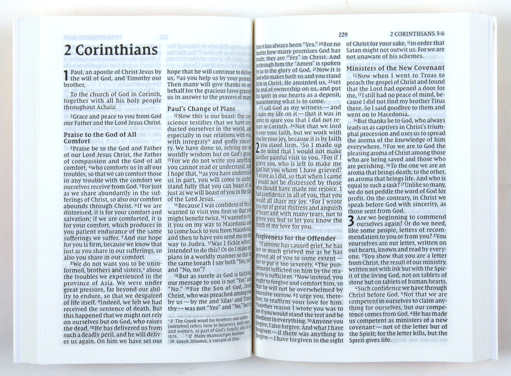 Front cover of the NIV God's Gift For Kids Pocket New Testament With Psalms and Proverbs