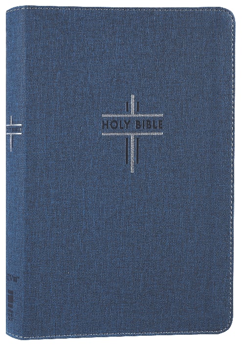 NIV Study Bible for Teenagers Thinline Blue Red Letter Edition