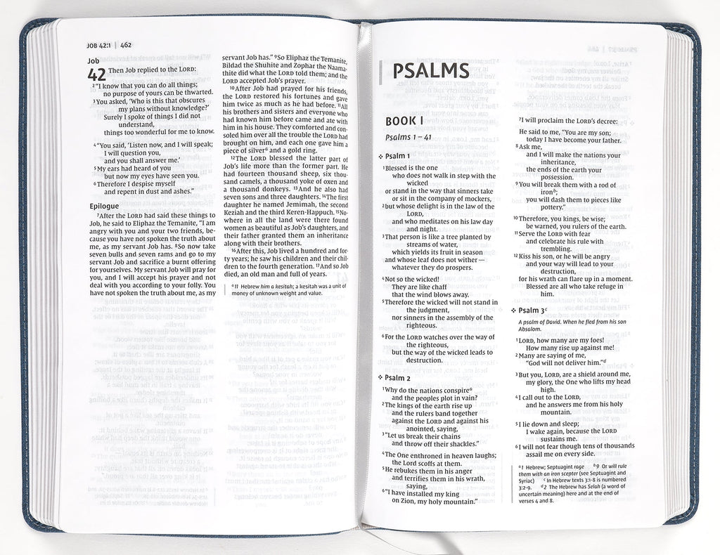 NIV Bible For Teens Thinline Edition Blue (Red Letter Edition)