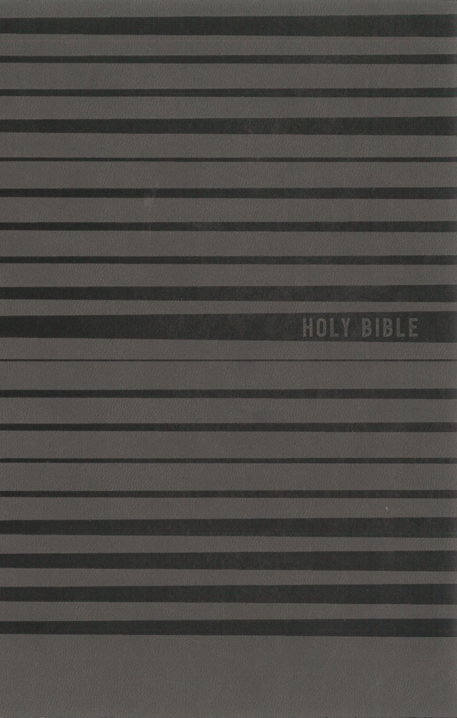 NIV Holy Bible for Boys, a classic Gray LeatherSoft Bible for kids