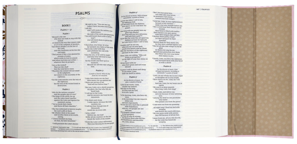 Open page of NIV Adventure Bible for Girls, highlighting interactive Bible study features.