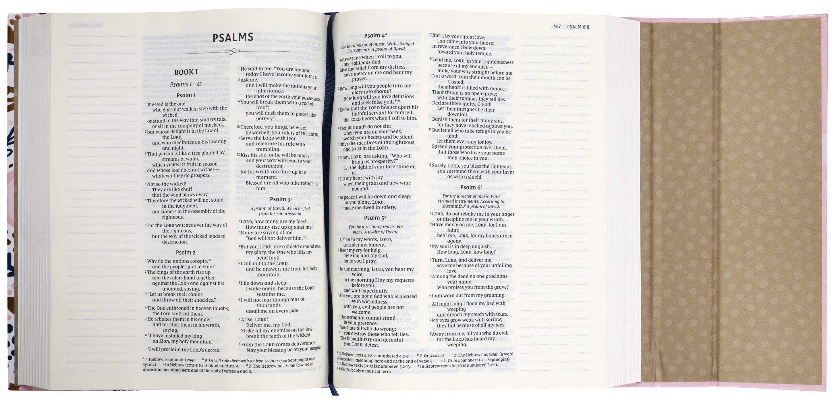 Open page of NIV Adventure Bible for Girls, highlighting interactive Bible study features.