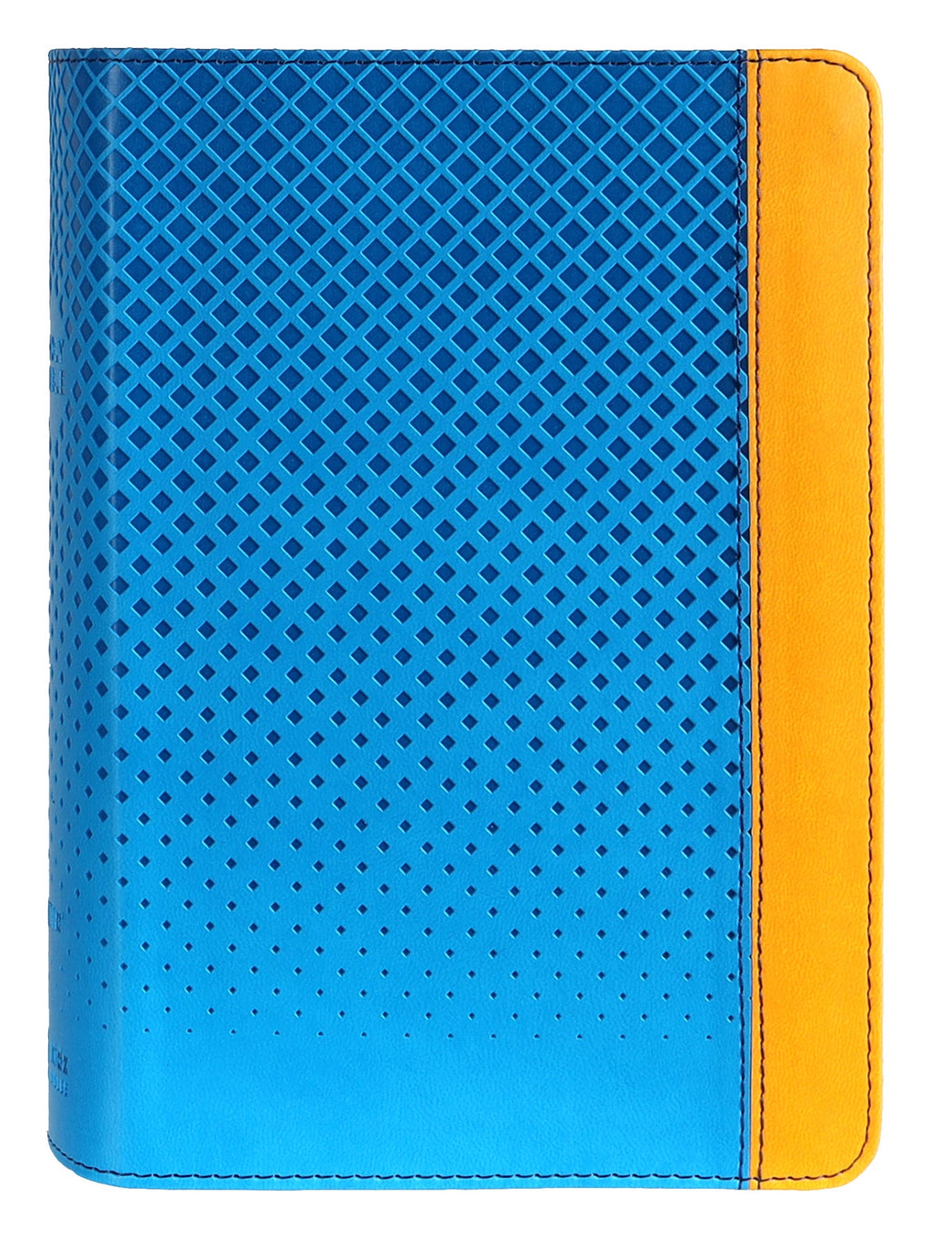 NIV Giant Print Compact Bible for Boys in Blue, Red Letter Edition