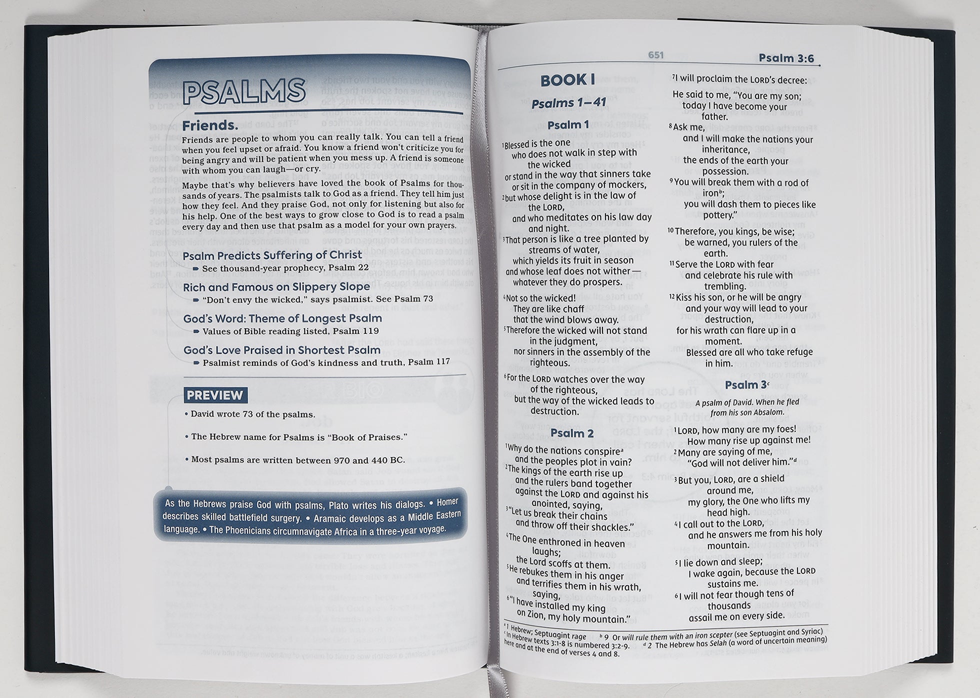NIV Teen Study Bible Blue Comfort Print