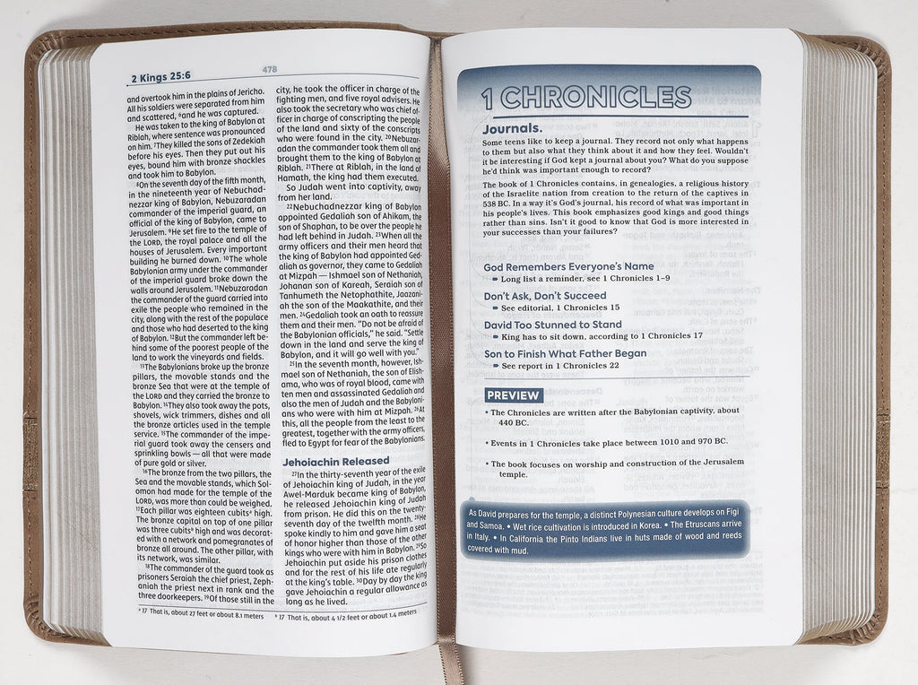 NIV Teen Study Bible, a New International Version Bible for teenage students, in compact and comfortable brown print.