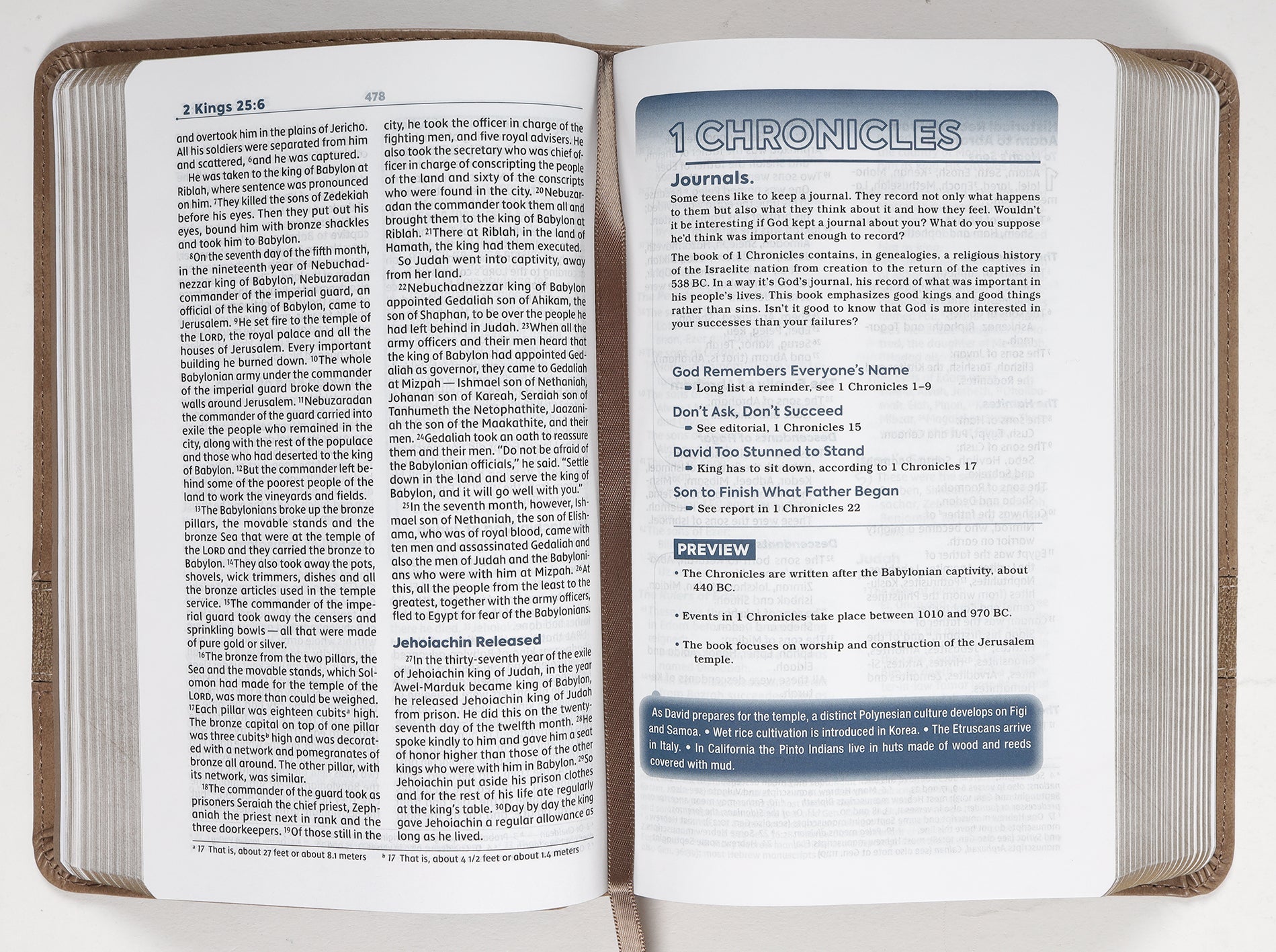 NIV Teen Study Bible, a New International Version Bible for teenage students, in compact and comfortable brown print.