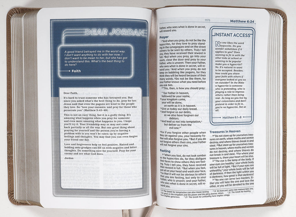 NIV Teen Study Bible Compact Brown Comfort Print