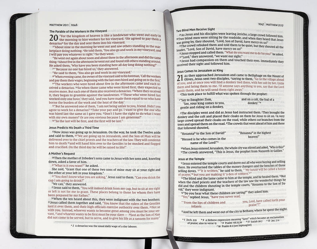 NIV Thinline Bible with red letter edition and black Passaggio setting on a desk