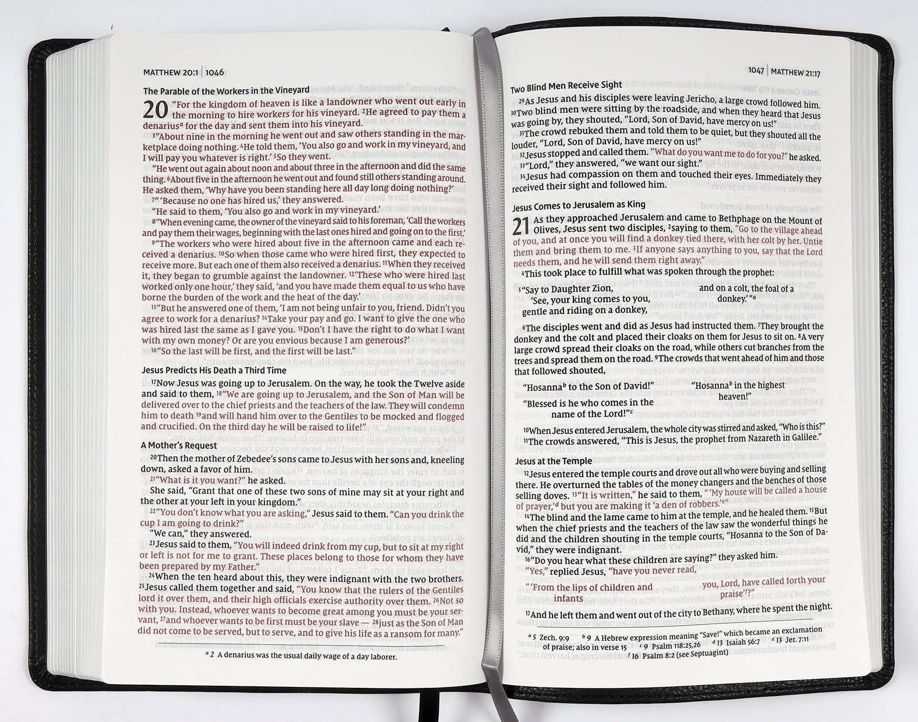 NIV Thinline Bible with red letter edition and black Passaggio setting on a desk