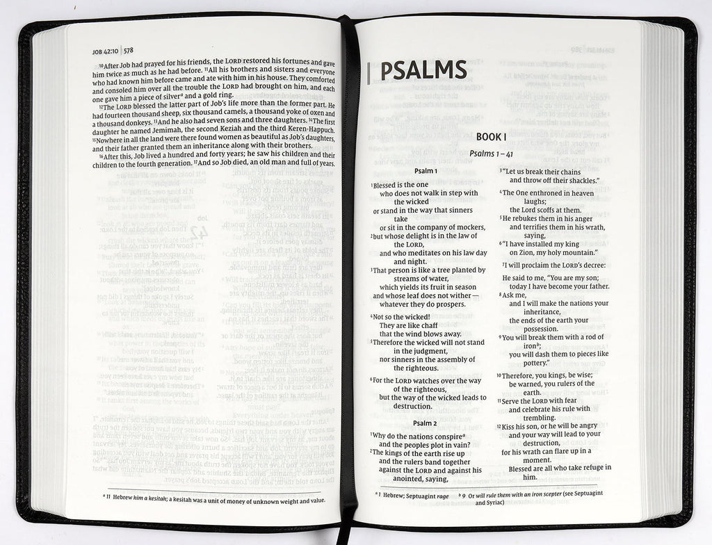 NIV Thinline Bible with black Passaggio setting and red letter edition on a shelf