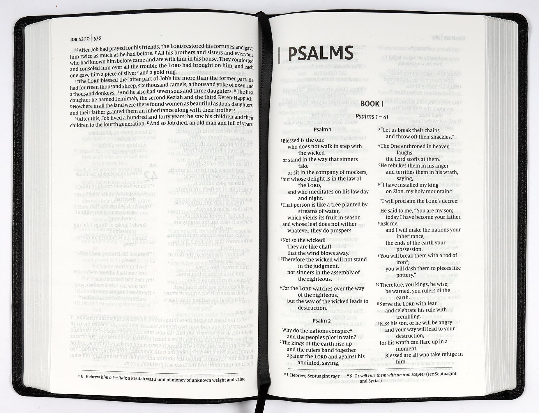 NIV Thinline Bible with black Passaggio setting and red letter edition on a shelf