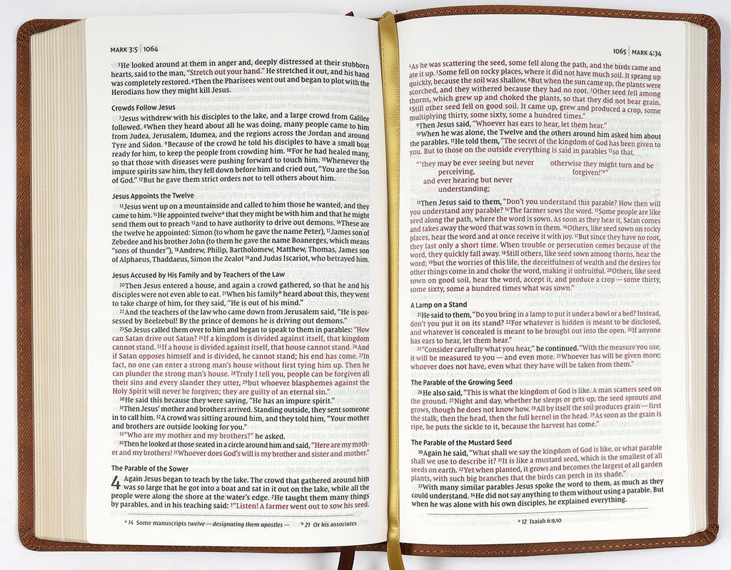 NIV Thinline Bible in Passaggio setting with brown cover and red letter edition, perfect for reading