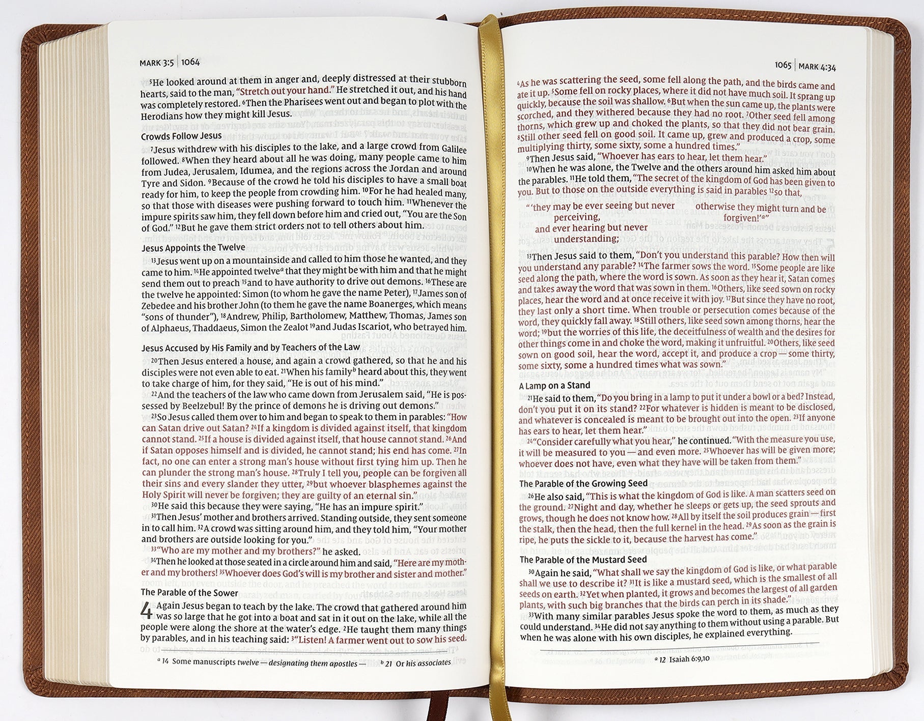 NIV Thinline Bible in Passaggio setting with brown cover and red letter edition, perfect for reading