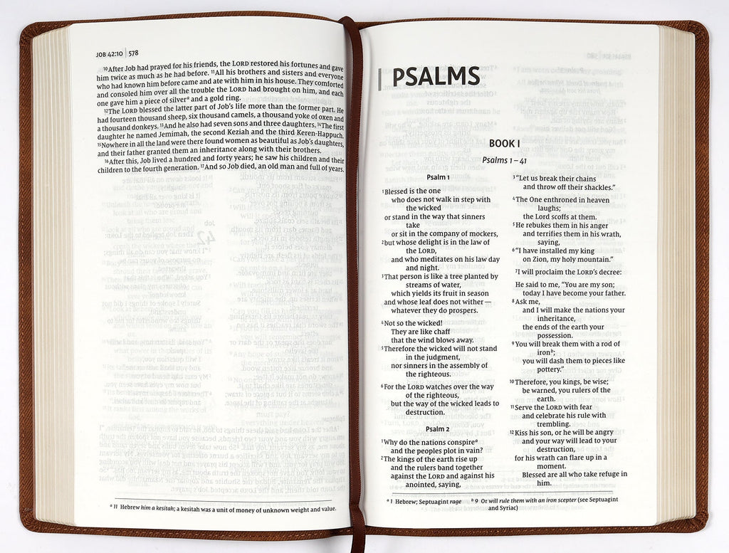NIV Thinline Bible with red letter edition and Passaggio setting in brown leather-like cover