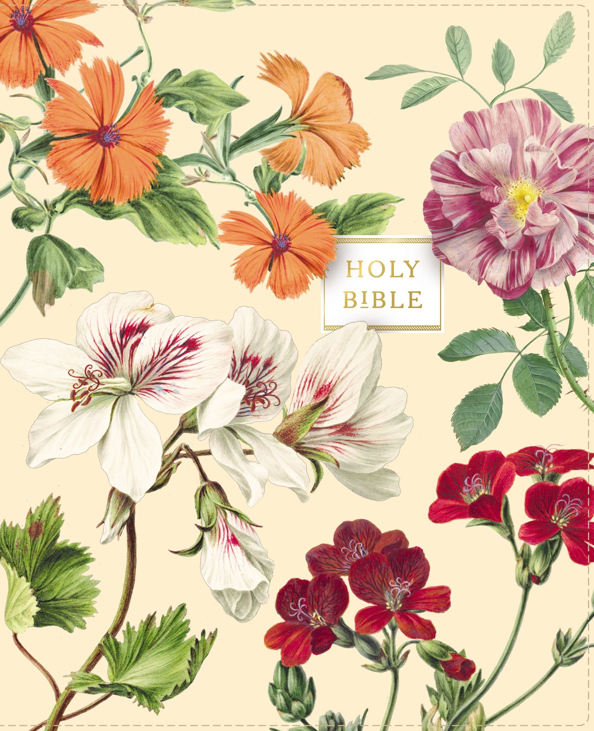 NIV Artisan Collection Devotional Journaling Bible with inspirational artwork and scripture for personal reflection