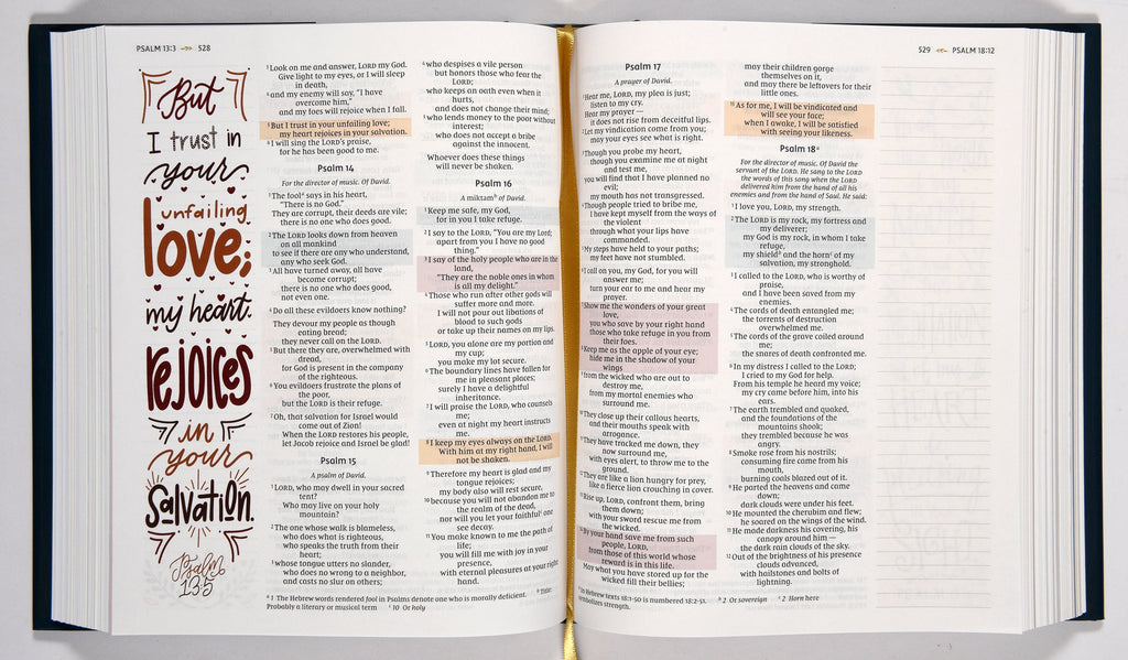 Back cover of NIV Radiant Virtues Bible with product information and New International Version Bible details