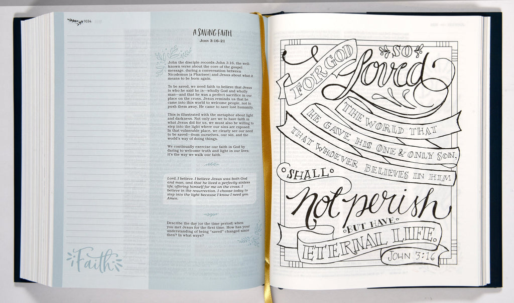 NIV Devotional & Journaling Bible with devotional content