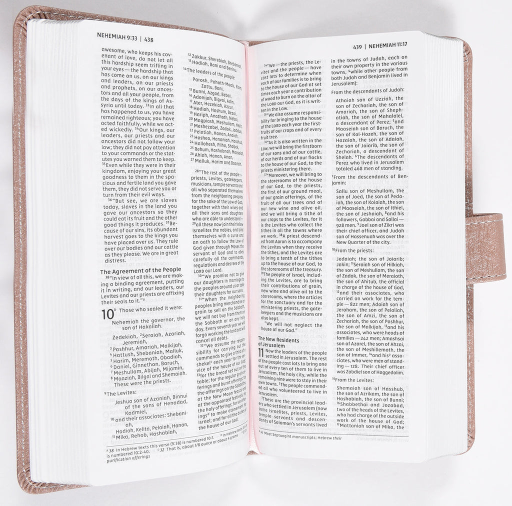 Red letter edition of NIV Pocket Thinline Bible with pink snap closure, soft cover