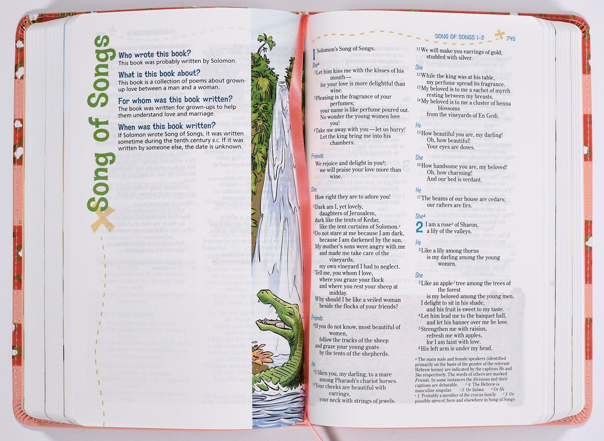 Coral NIV Adventure Bible (Black Letter Edition) features and details