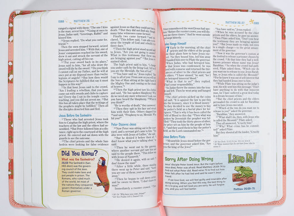 Coral NIV Adventure Bible (Black Letter Edition) back cover or spine