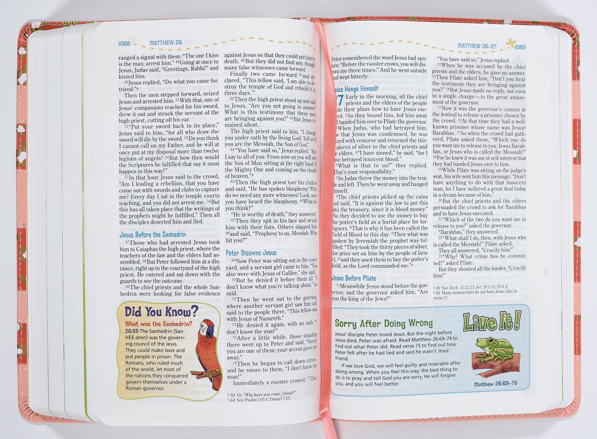 Coral NIV Adventure Bible (Black Letter Edition) back cover or spine