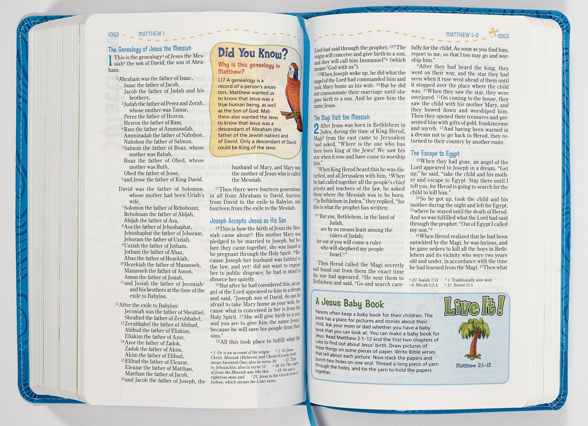 NIV Adventure Bible Blue Black Letter Edition Bible details