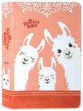 NIrV Adventure Bible for Early Readers, coral full color, Bible for young readers