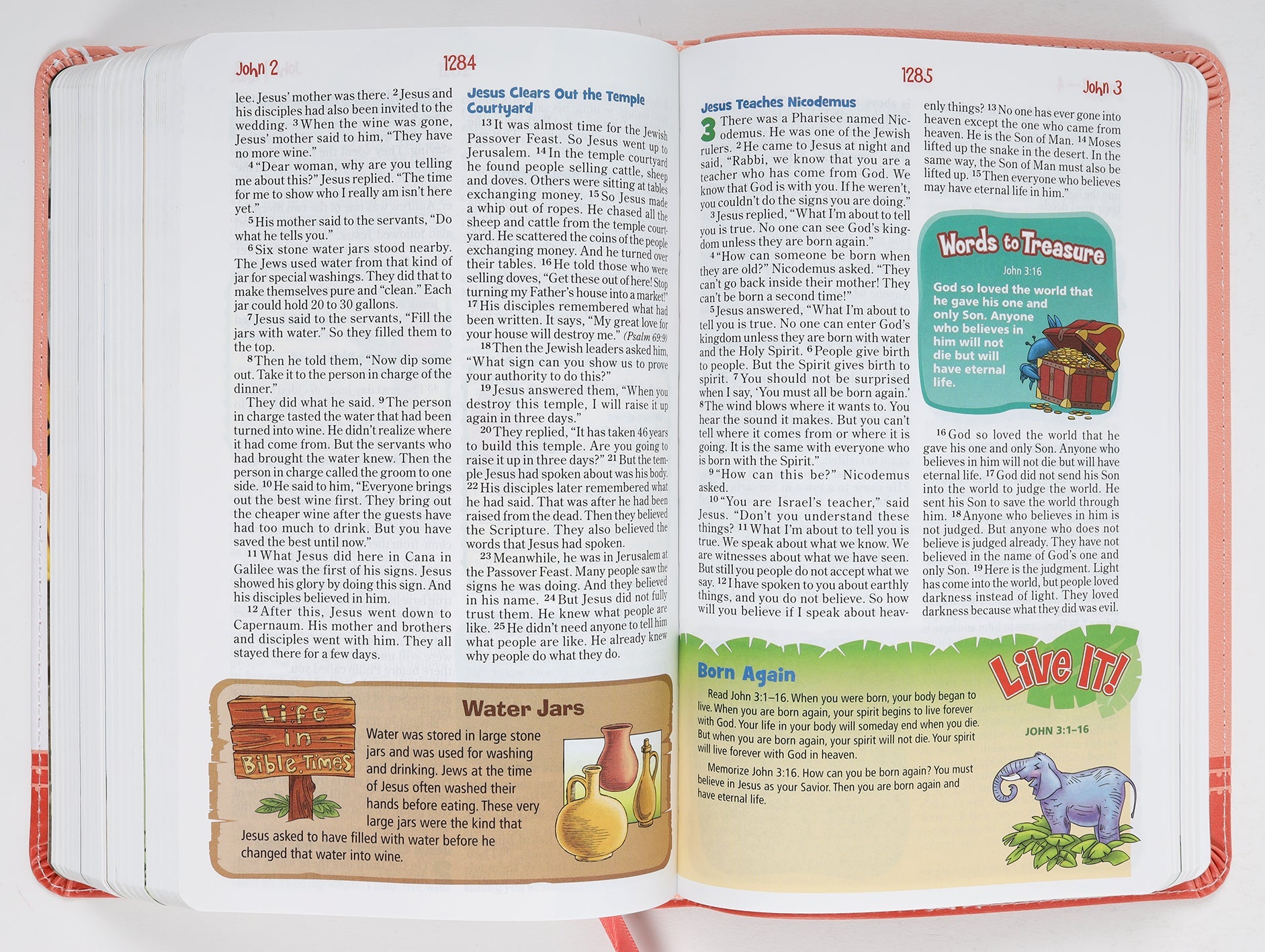 NIrV Adventure Bible for Early Readers, coral full color, Bible for young children to learn