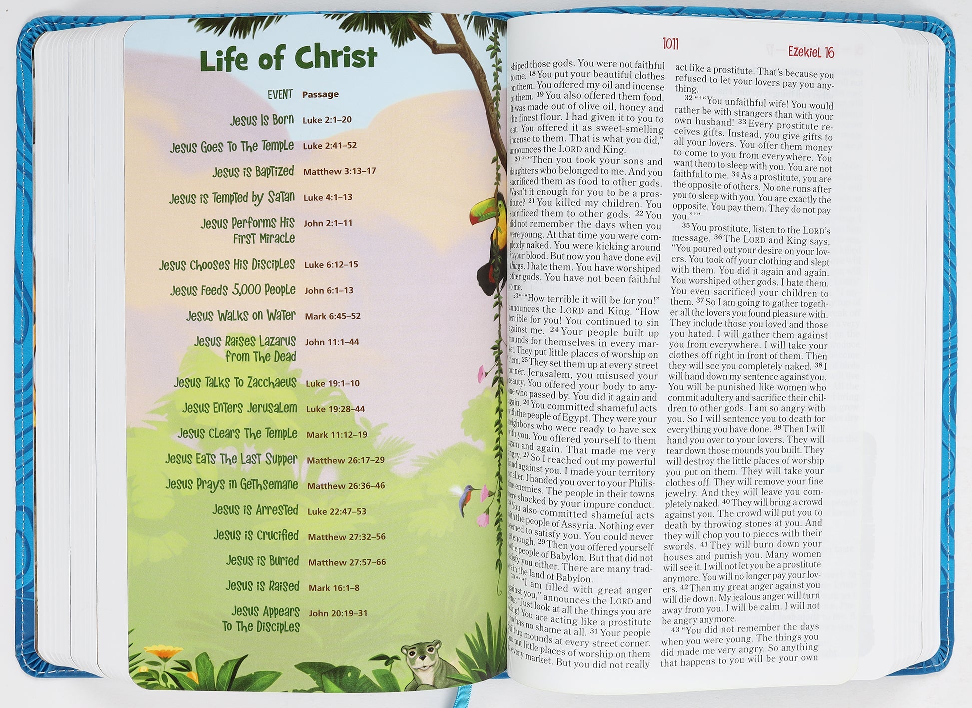 NIRV Adventure Bible for Early Readers in Blue Full Color