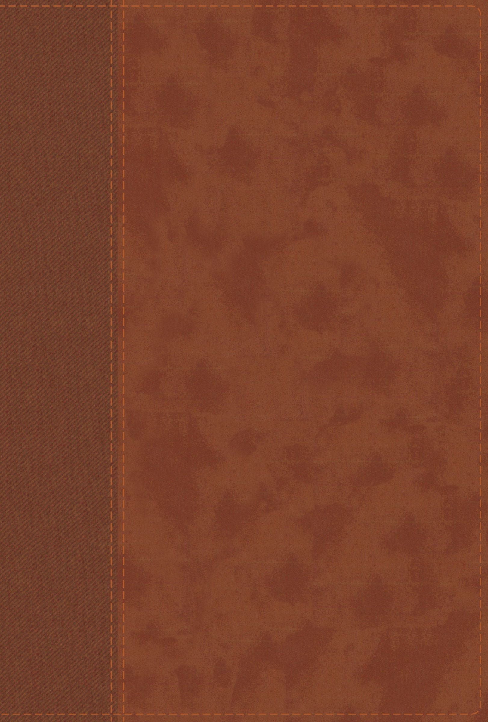 NIV Personal Size Large Print Bible with Thumb Indexed Red Letter Edition Bible Study Reference