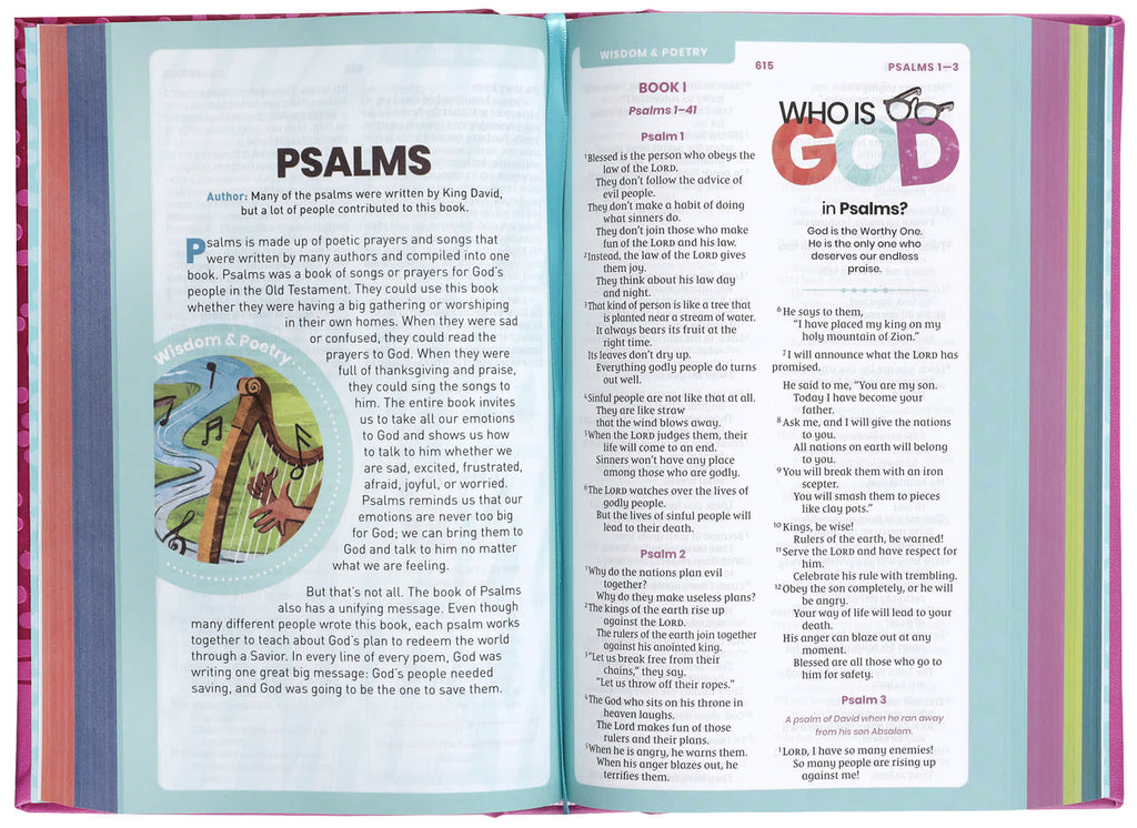 Compact pink NIRV Bible for theologians and scholars