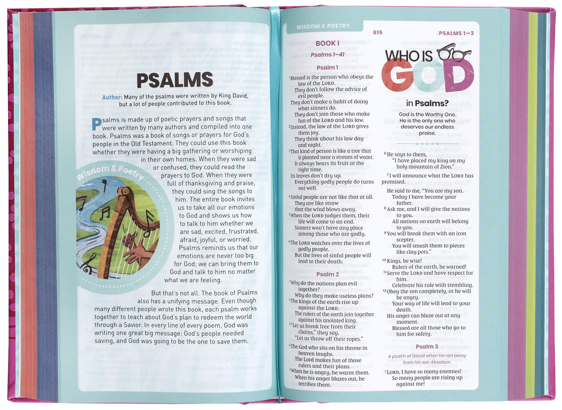 Compact pink NIRV Bible for theologians and scholars