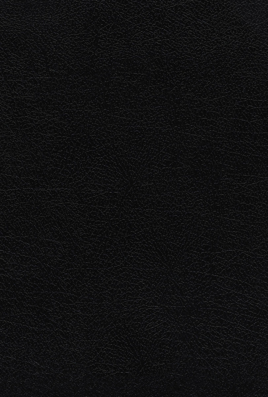 NIV Large Print Black Thinline Edition Thompson Chain Reference Bible