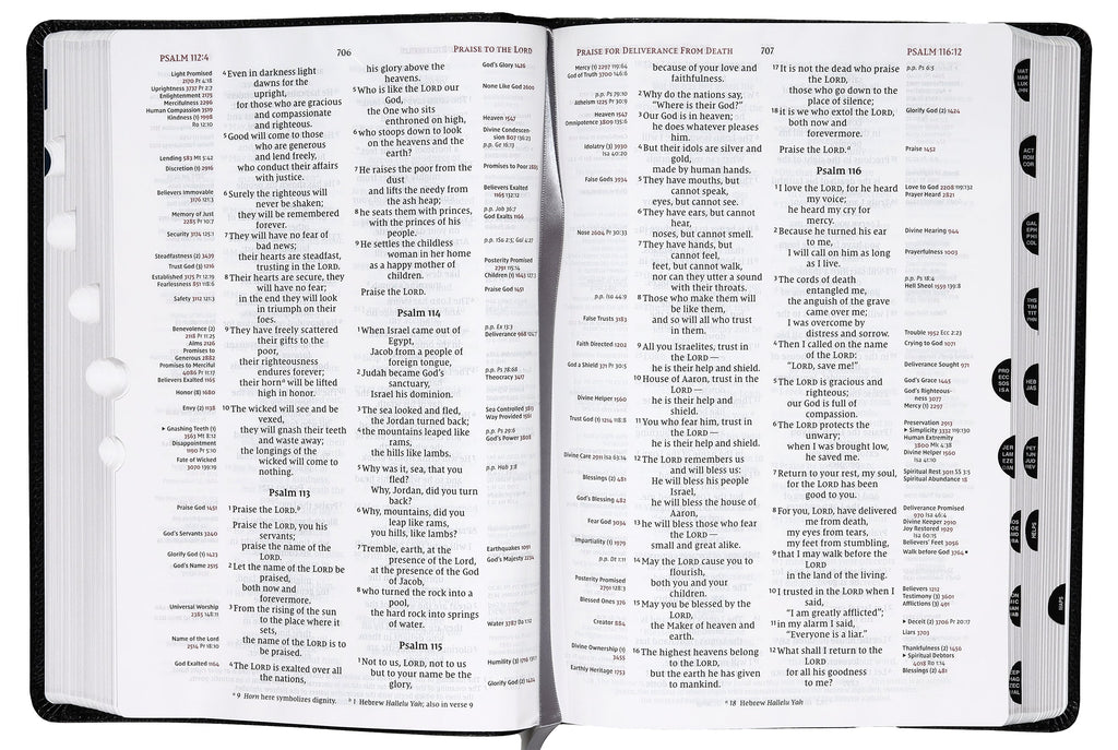 NIV Thompson Chain-Reference Bible with large print and thumb index in hand
