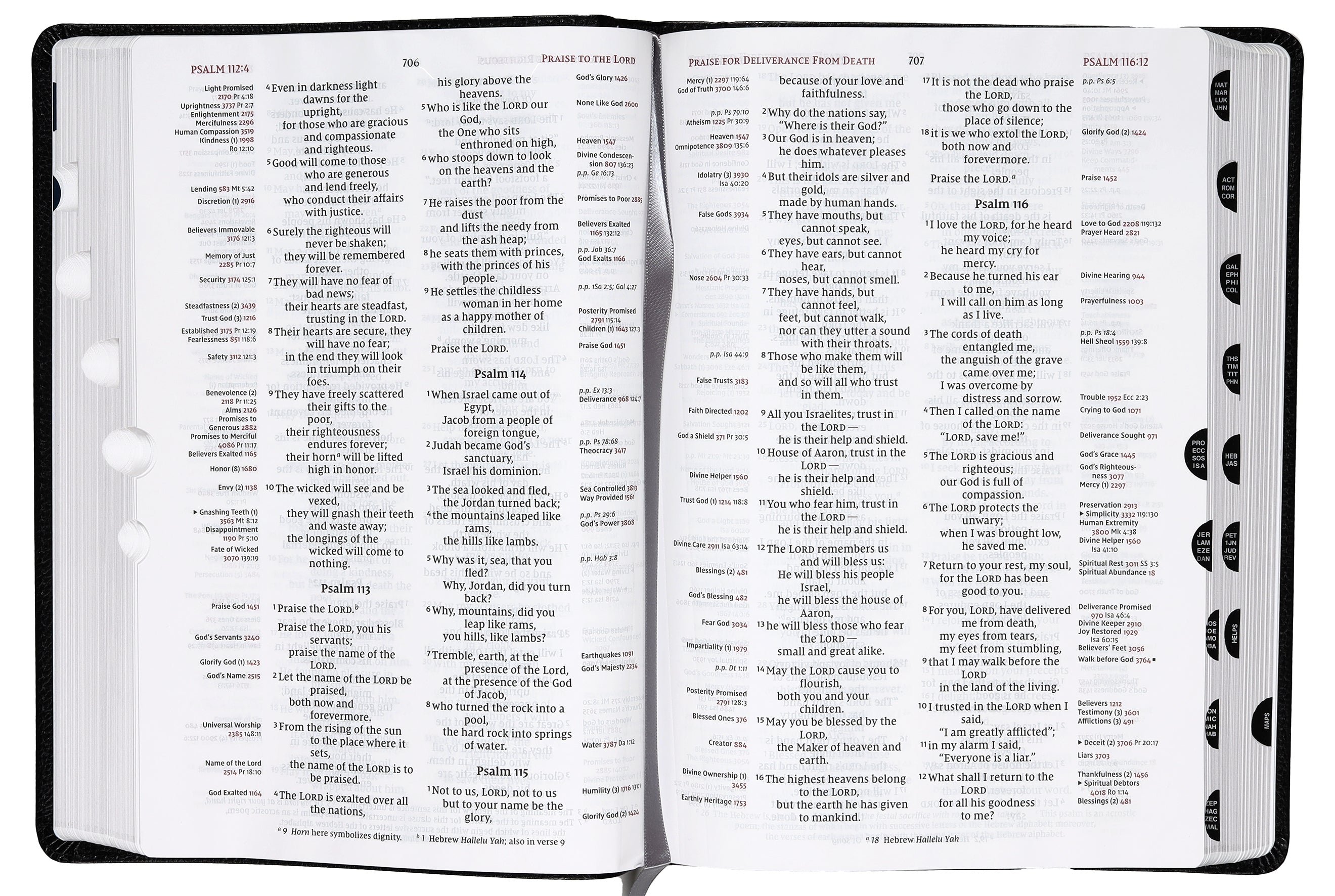 NIV Thompson Chain-Reference Bible with large print and thumb index in hand