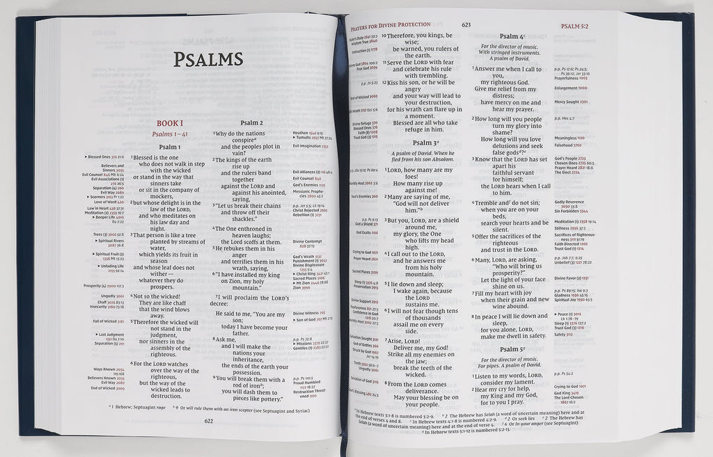 Back cover of the NIV Red Letter Thompson Chain-Reference Bible
