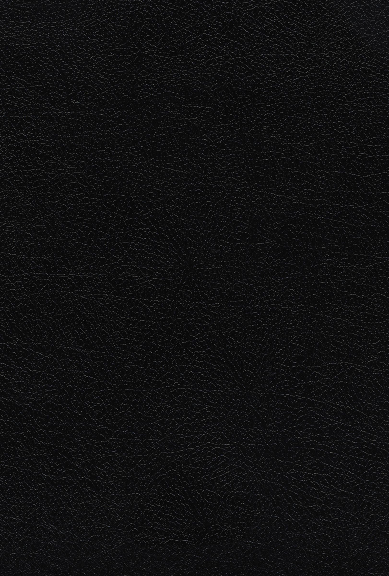 Close-up of NIV Thompson Chain-Reference Bible, black leather cover with red letter edition, opened to a page
