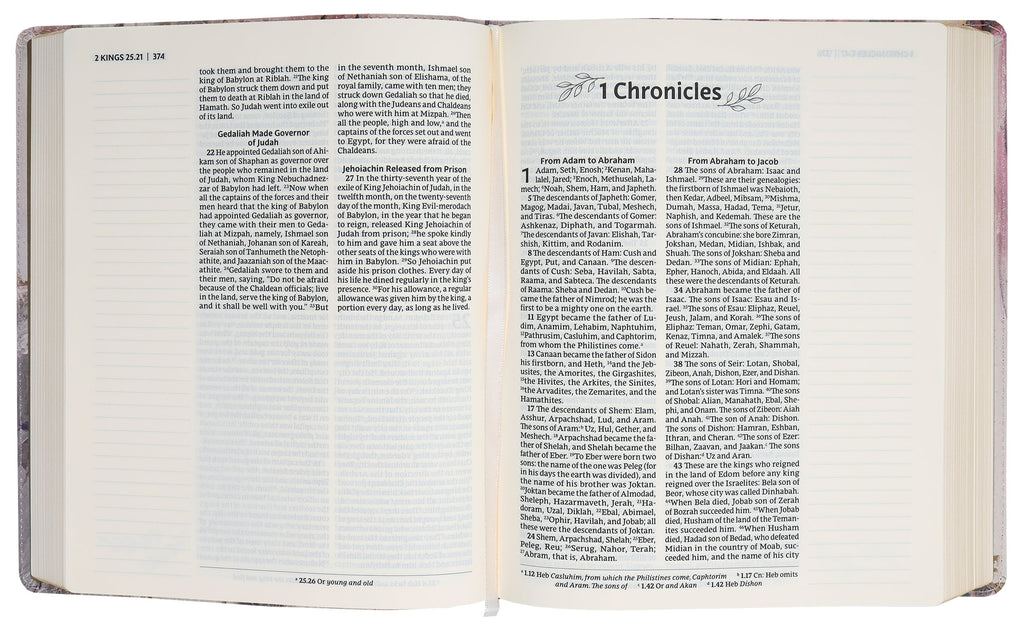 Nrsvue Artisan Collection Bible Multi-Color/Cream