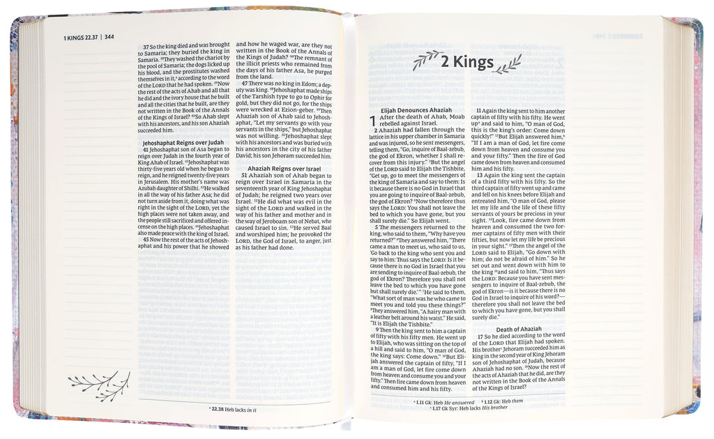 Multi-color Nrsvue Artisan Collection Bible with devotional journaling space