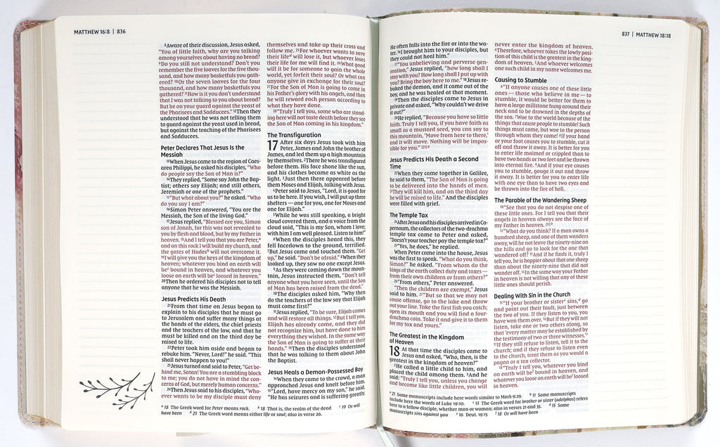 High-quality image of NIV Artisan Collection Bible cover in multi-color and cream with red letter edition.