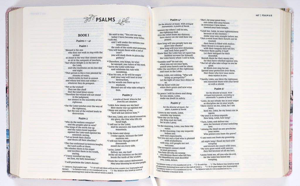 NIV Artisan Collection Bible Multi-Color/Blue (Red Letter Edition)