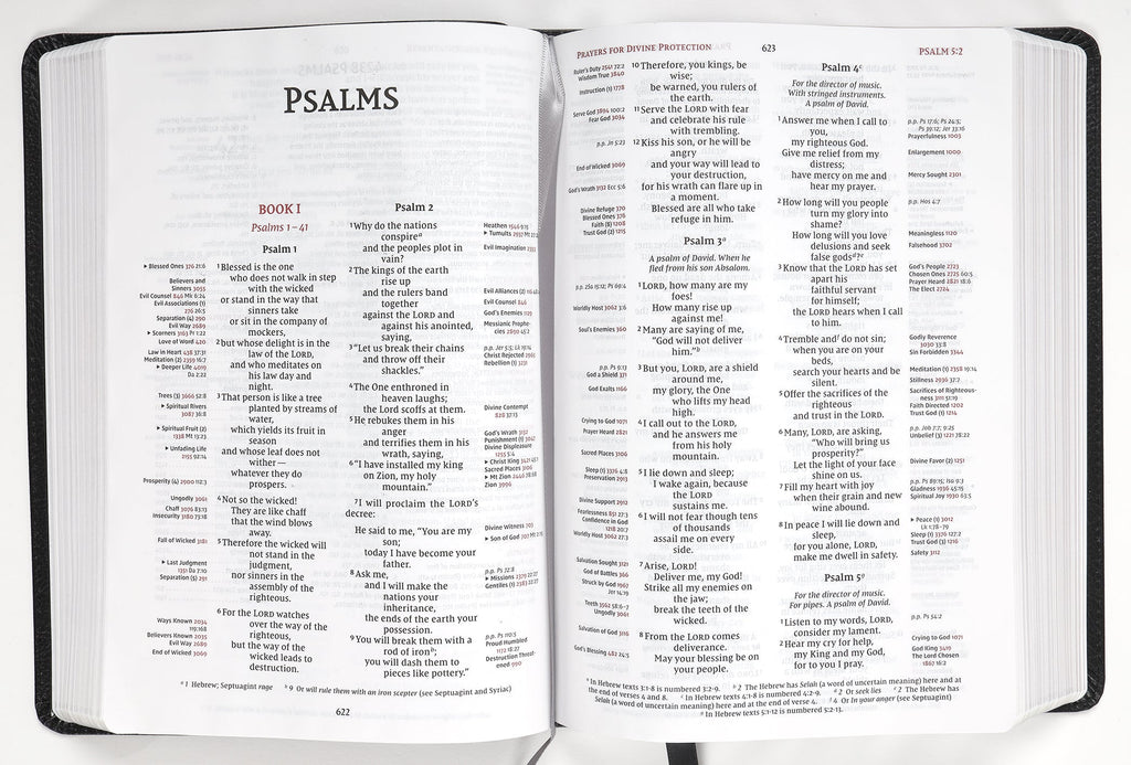 Brown leather NIV Thompson Chain-Reference Bible with red letter edition pages