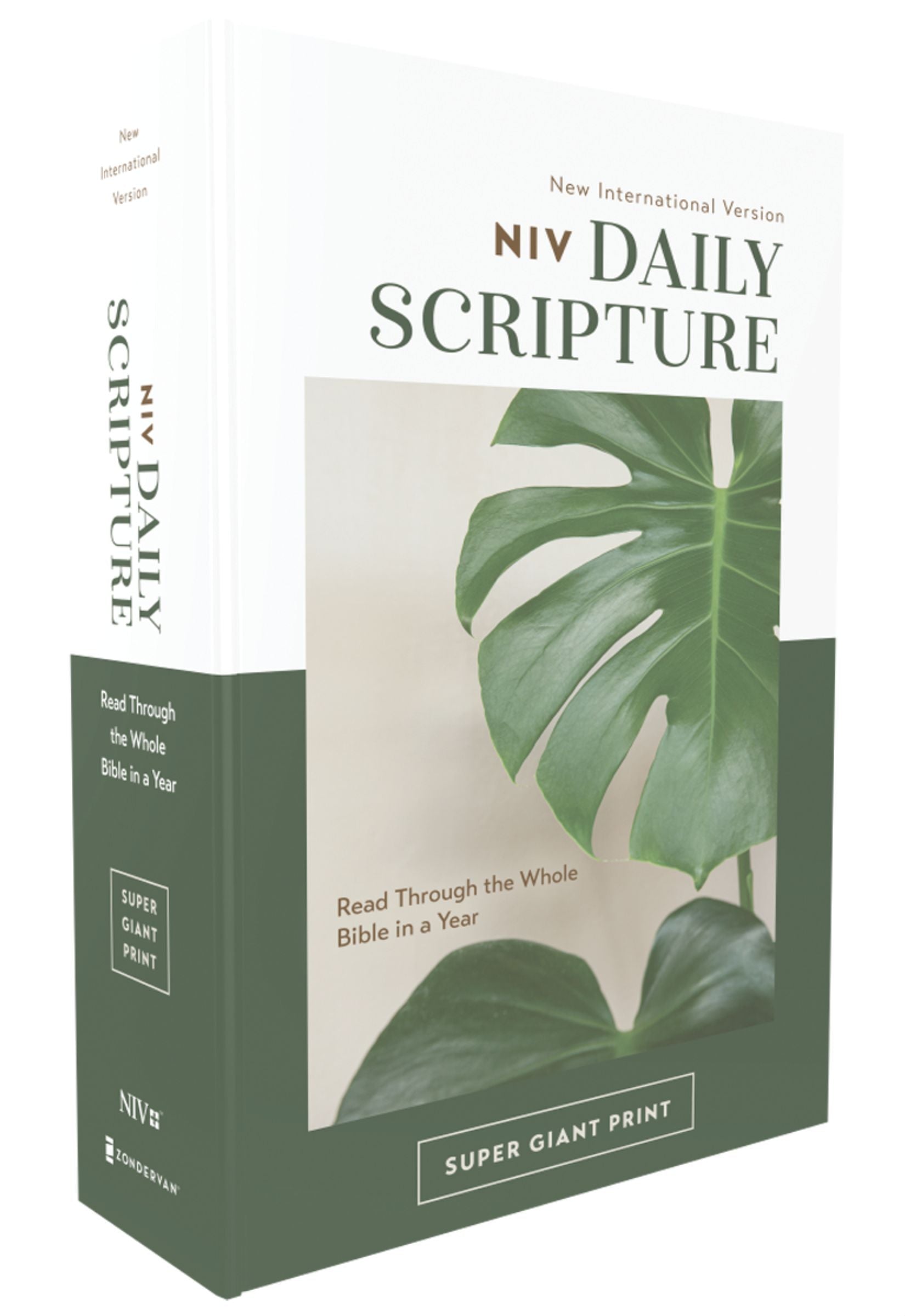 NIV Daily Scripture Bible Super Giant Print, White / Green (Black Letter Edition)